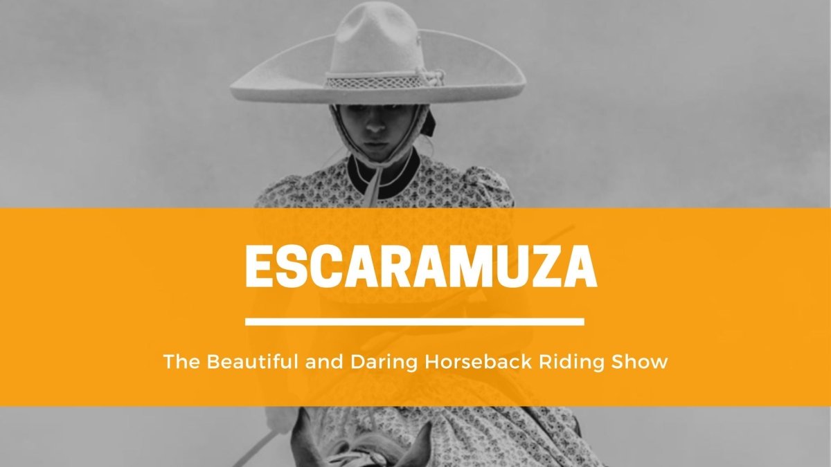 Introduction to Escaramuza - The Beautiful and Daring Horseback Riding Show - CharroAzteca.com